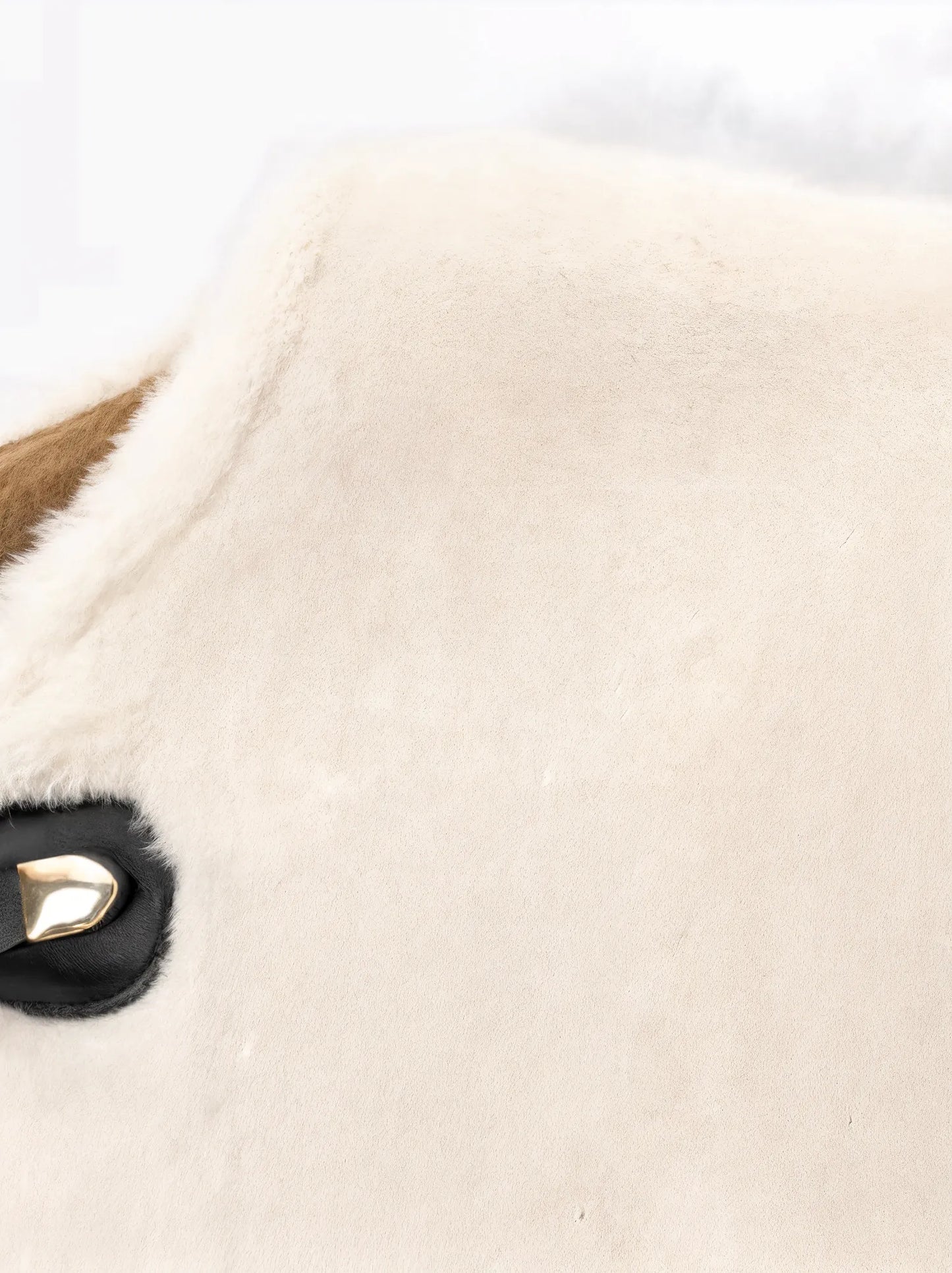 Close-up of a beige fur product with a brand logo on a white background