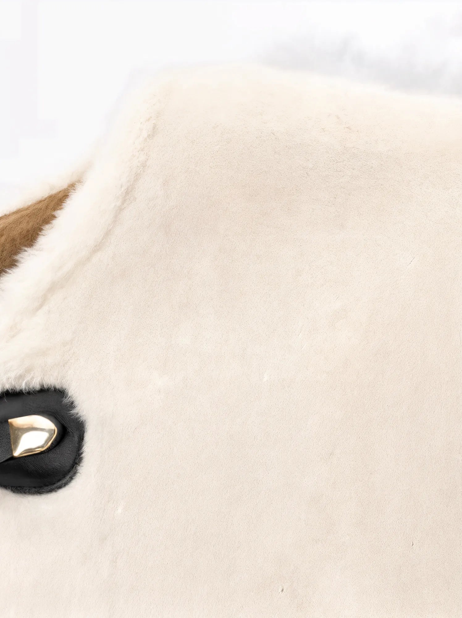 Close-up of a beige fur product with a brand logo on a white background